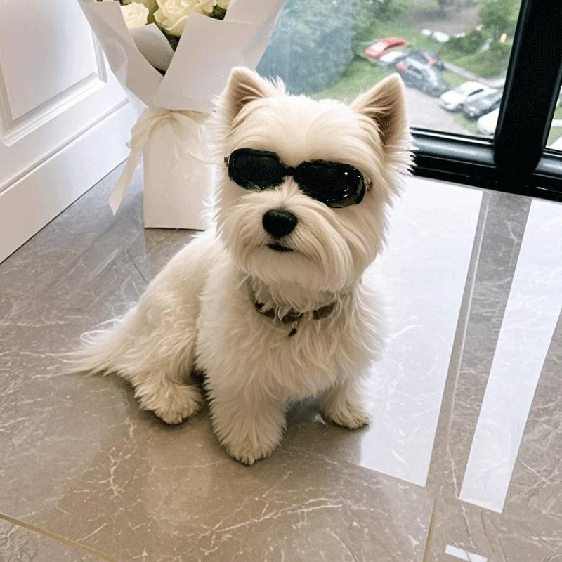 UV Protection Pet Goggles – Anti-Fog Windproof Sunglasses