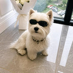 UV Protection Pet Goggles – Anti-Fog Windproof Sunglasses