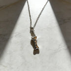 Pet Paw Print Cremation Urn Necklace Keepsake Pendant