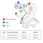 Pet Sun Hat And Sunglasses Set For Dogs And Cats