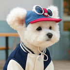 Pet Sun Hat And Sunglasses Set For Dogs And Cats