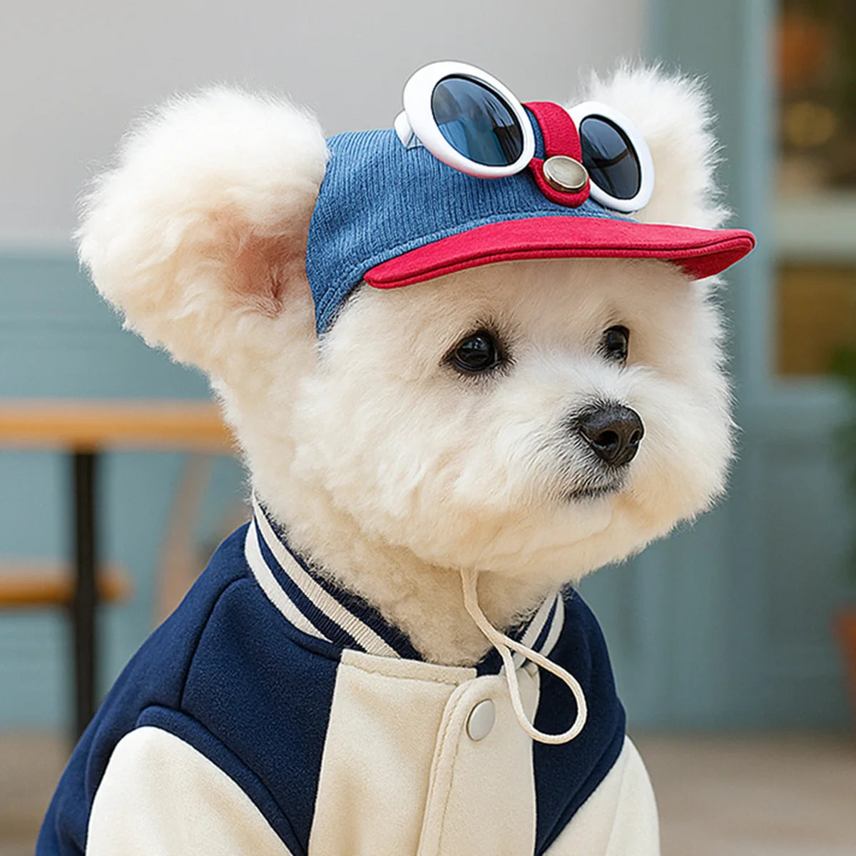 Pet Sun Hat And Sunglasses Set For Dogs And Cats